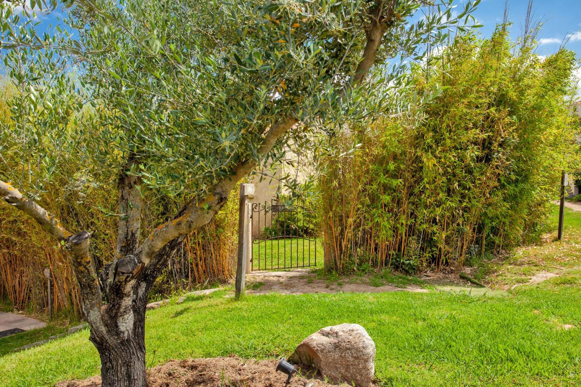 Residence Acquavital كالفي المظهر الخارجي الصورة