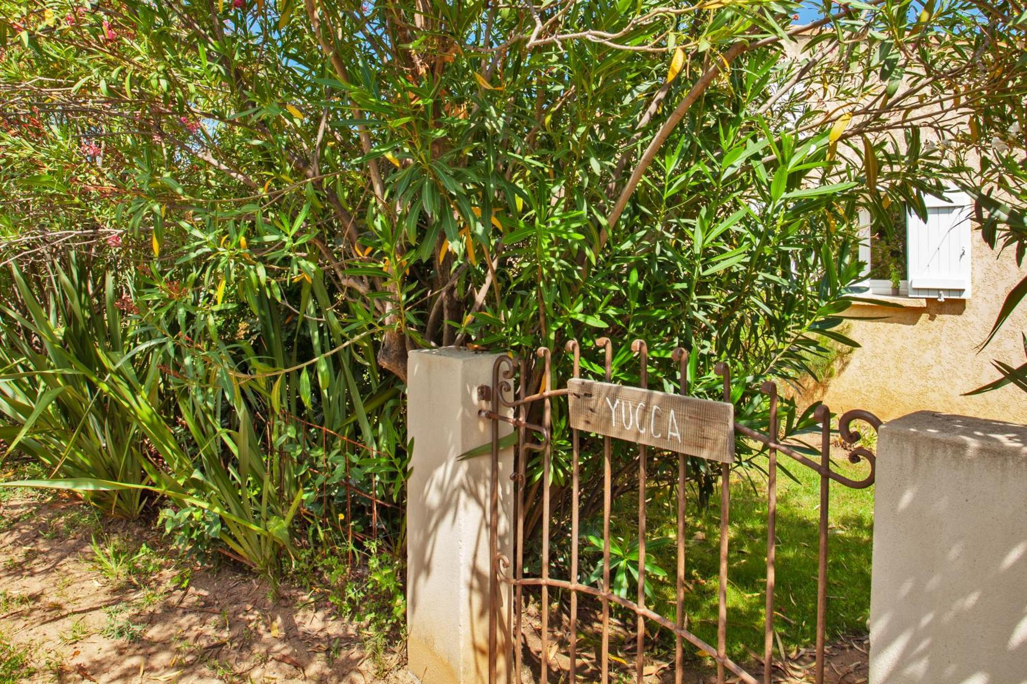 Residence Acquavital كالفي المظهر الخارجي الصورة